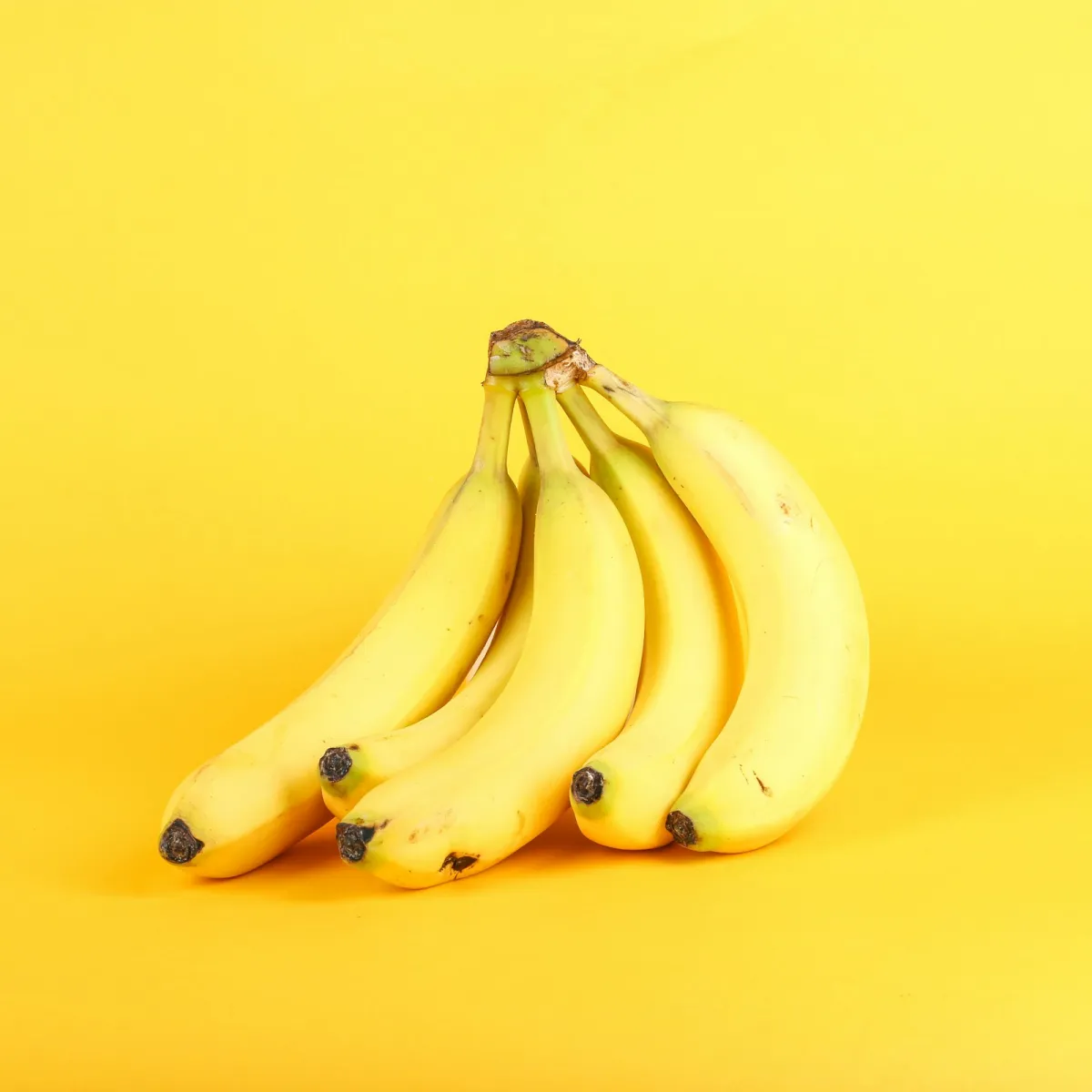 Green Cavendish export bananas in standardized commercial palletized boxes