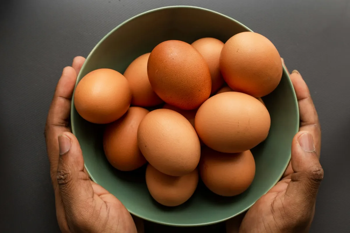 Freshly graded and sanitized commercial table eggs in protective export trays
