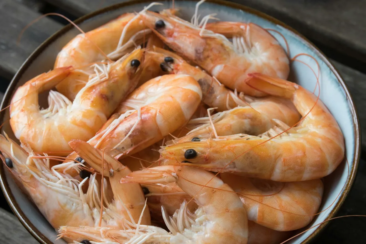 Blast frozen block and IQF wild and farmed shrimps packed in master cartons