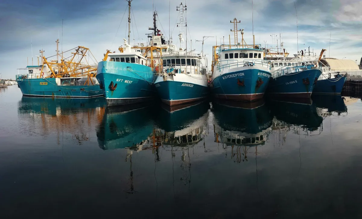 Fishing trawlers moored in a calm harbour with reflections on the water