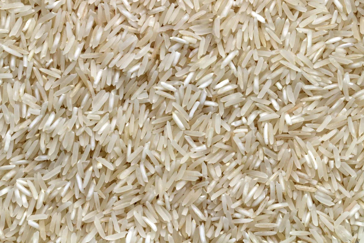 Gambar dekat beras putih bijian panjang yang mentah