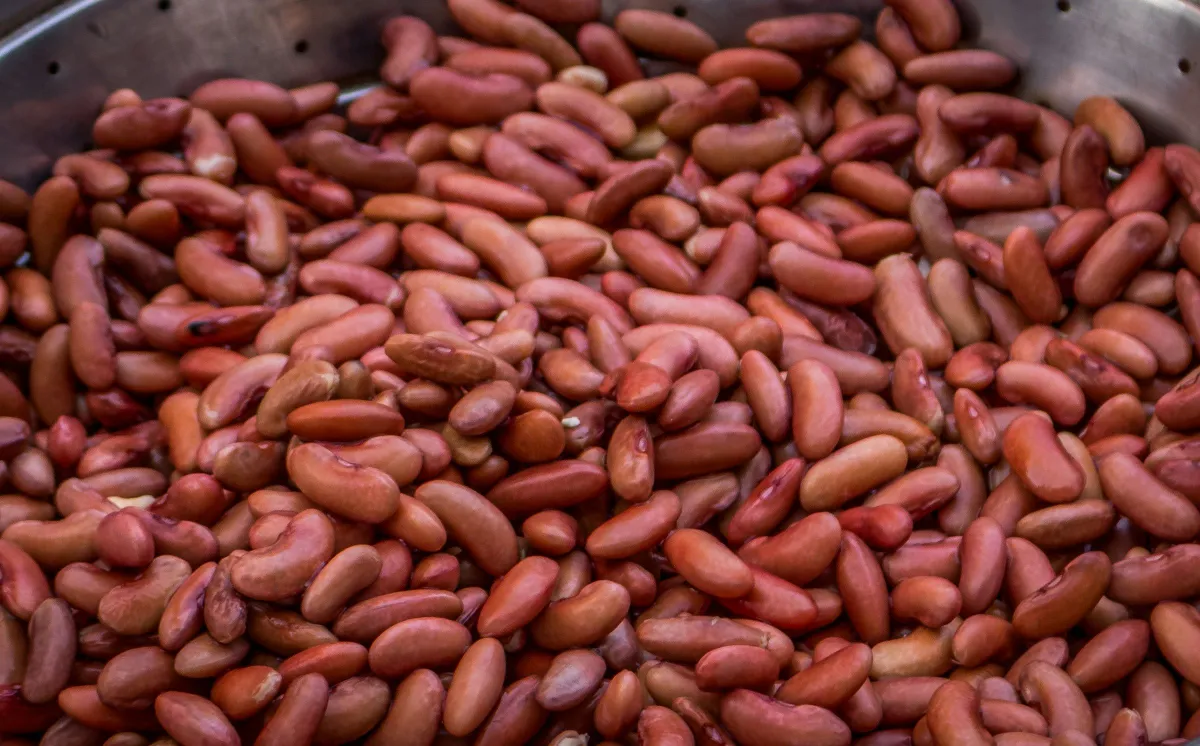 Longgokan kacang merah kering