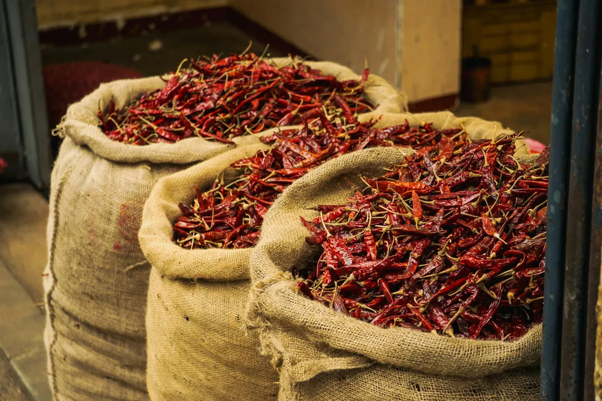 Guni jut terbuka berisi cili merah kering